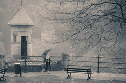 Photography for beginners - featured photography course with Nige Burton Photography