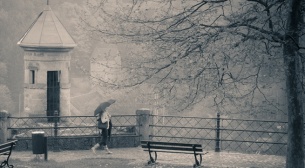 Photography for Beginners - 1 Day 1-to-1 - 6th September 2014
